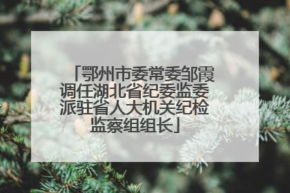 鄂州市委常委邹霞调任湖北省纪委监委派驻省人大机关纪检监察组组长