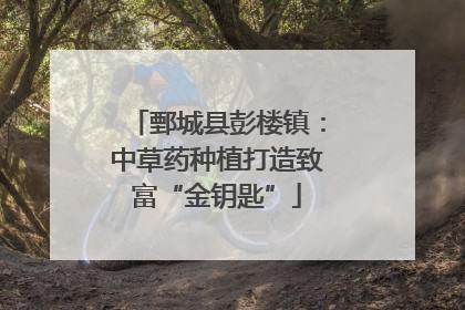 鄄城县彭楼镇：中草药种植打造致富“金钥匙”