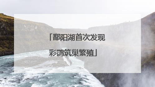 鄱阳湖首次发现彩鹮筑巢繁殖