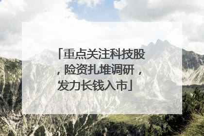 重点关注科技股，险资扎堆调研，发力长钱入市
