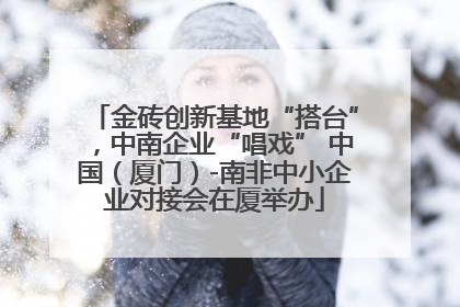 金砖创新基地“搭台”，中南企业“唱戏” 中国（厦门）-南非中小企业对接会在厦举办