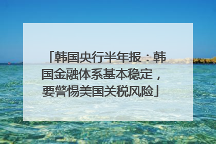 韩国央行半年报：韩国金融体系基本稳定，要警惕美国关税风险