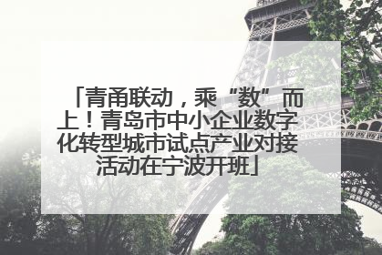 青甬联动，乘“数”而上！青岛市中小企业数字化转型城市试点产业对接活动在宁波开班