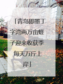 青岛即墨丁字湾两万亩蛏子迎来收获季 每天万斤上岸