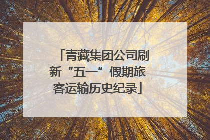 青藏集团公司刷新“五一”假期旅客运输历史纪录