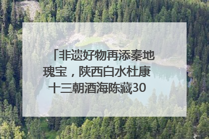 非遗好物再添秦地瑰宝，陕西白水杜康十三朝酒海陈藏30年别具一格