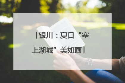 银川：夏日“塞上湖城”美如画