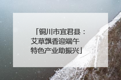 铜川市宜君县：艾草飘香迎端午 特色产业助振兴