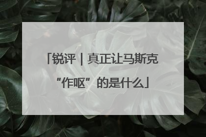 锐评｜真正让马斯克“作呕”的是什么