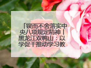 锲而不舍落实中央八项规定精神丨黑龙江双鸭山：以学促干推动学习教育走深走实 从小事入手写好“民生答卷”