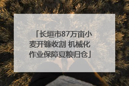 长垣市87万亩小麦开镰收割 机械化作业保障夏粮归仓