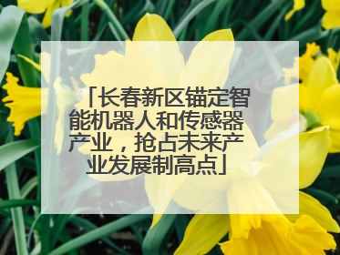 长春新区锚定智能机器人和传感器产业，抢占未来产业发展制高点