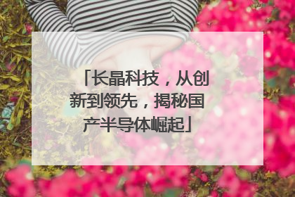 长晶科技，从创新到领先，揭秘国产半导体崛起