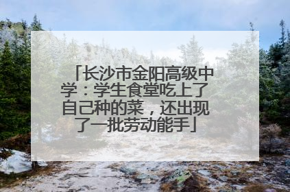 长沙市金阳高级中学：学生食堂吃上了自己种的菜，还出现了一批劳动能手