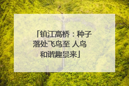 镇江高桥：种子落处飞鸟至 人鸟和谐趣景来