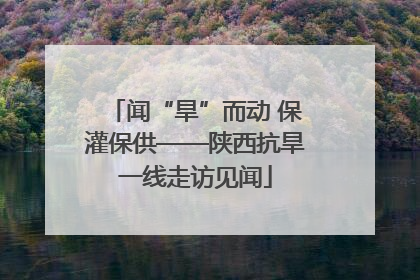 闻“旱”而动 保灌保供——陕西抗旱一线走访见闻