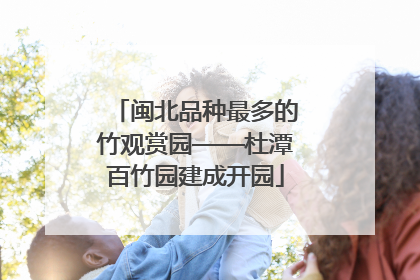 闽北品种最多的竹观赏园——杜潭百竹园建成开园