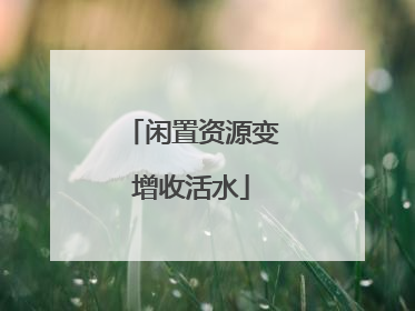 闲置资源变增收活水