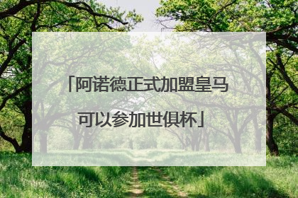 阿诺德正式加盟皇马 可以参加世俱杯