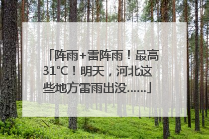 阵雨+雷阵雨！最高31℃！明天，河北这些地方雷雨出没……