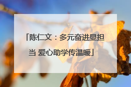 陈仁文：多元奋进显担当 爱心助学传温暖