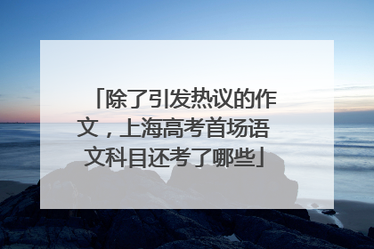 除了引发热议的作文，上海高考首场语文科目还考了哪些