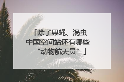 除了果蝇、涡虫 中国空间站还有哪些“动物航天员”