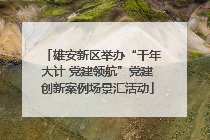 雄安新区举办“千年大计 党建领航”党建创新案例场景汇活动