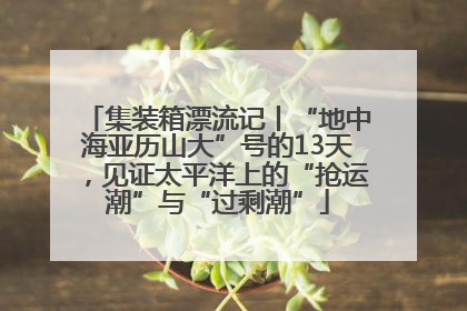 集装箱漂流记丨“地中海亚历山大”号的13天，见证太平洋上的“抢运潮”与“过剩潮”