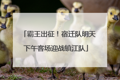 霸王出征！宿迁队明天下午客场迎战镇江队