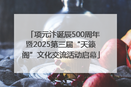 项元汴诞辰500周年暨2025第三届“天籁阁”文化交流活动启幕