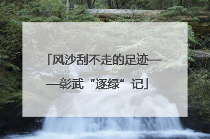 风沙刮不走的足迹——彰武“逐绿”记