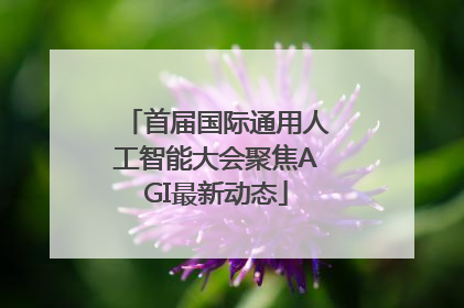 首届国际通用人工智能大会聚焦AGI最新动态