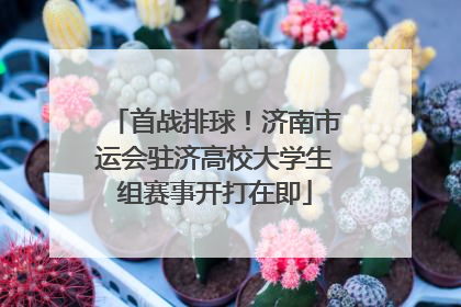 首战排球！济南市运会驻济高校大学生组赛事开打在即