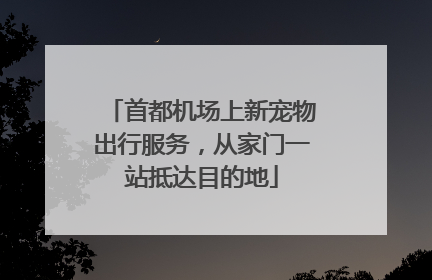 首都机场上新宠物出行服务，从家门一站抵达目的地