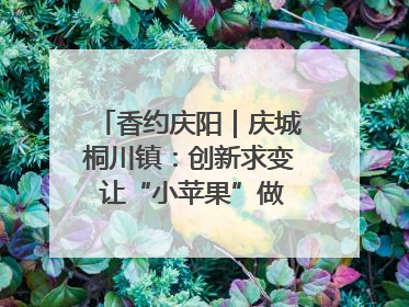 香约庆阳｜庆城桐川镇：创新求变 让“小苹果”做成“大产业”