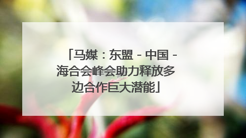 马媒：东盟－中国－海合会峰会助力释放多边合作巨大潜能