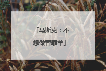 马斯克：不想做替罪羊
