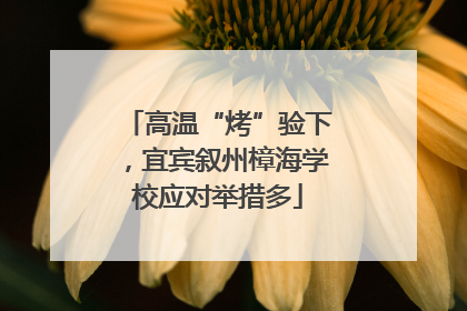 高温“烤”验下，宜宾叙州樟海学校应对举措多
