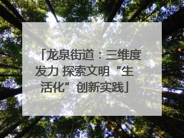 龙泉街道：三维度发力 探索文明“生活化”创新实践