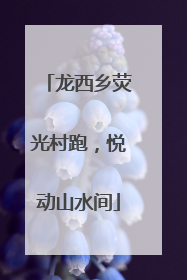 龙西乡荧光村跑，悦动山水间