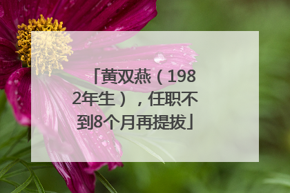 黄双燕（1982年生），任职不到8个月再提拔