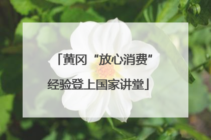 黄冈“放心消费”经验登上国家讲堂