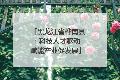 黑龙江省桦南县：科技人才驱动 赋能产业促发展