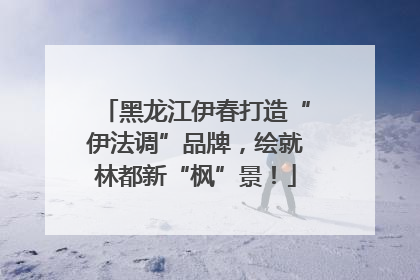 黑龙江伊春打造“伊法调”品牌，绘就林都新“枫”景！