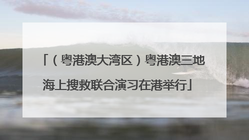 （粤港澳大湾区）粤港澳三地海上搜救联合演习在港举行