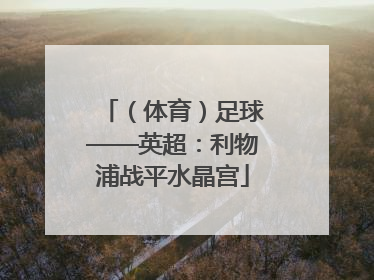 （体育）足球——英超：利物浦战平水晶宫