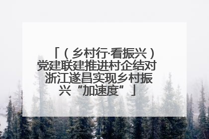 （乡村行·看振兴）党建联建推进村企结对 浙江遂昌实现乡村振兴“加速度”