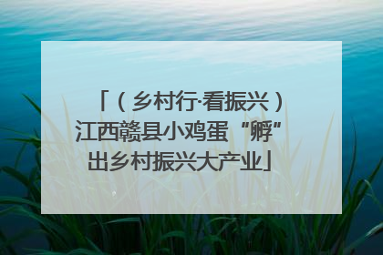 （乡村行·看振兴）江西赣县小鸡蛋“孵”出乡村振兴大产业