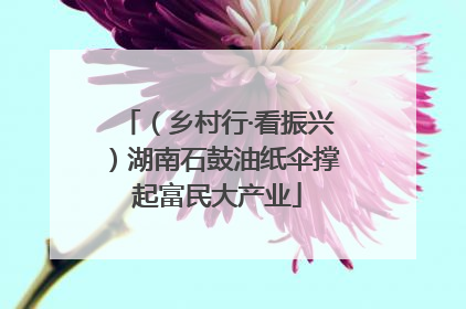 （乡村行·看振兴）湖南石鼓油纸伞撑起富民大产业